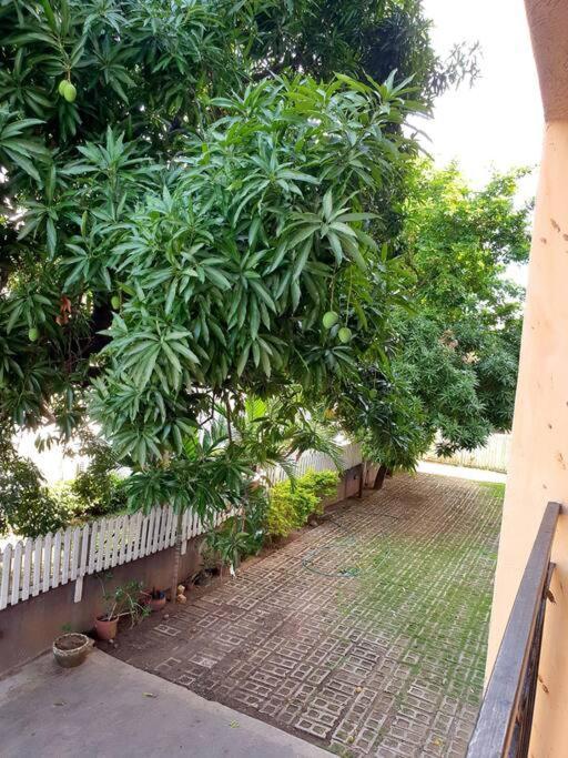 Central Upscale New Kingston Apt With Pool Exterior photo